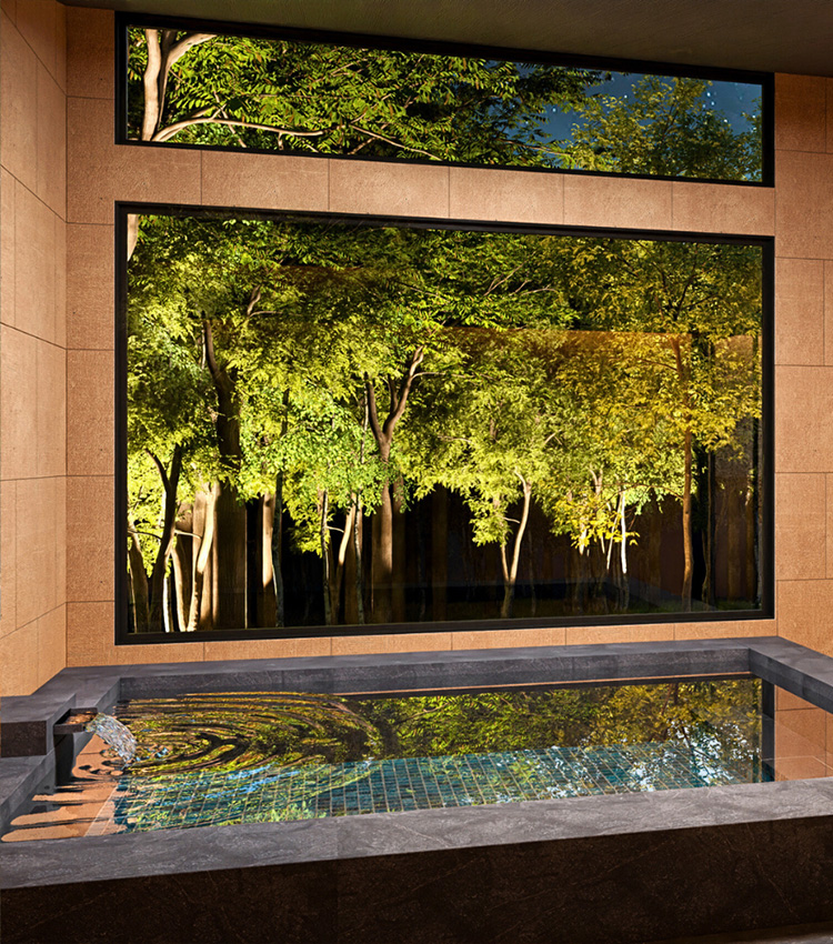 【星空テラス/客室専用風呂】プレミアム・ドーム型8m（最大6名）